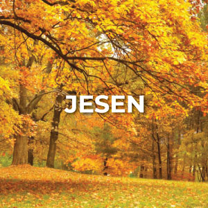 jesen-biss